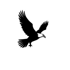 Obraz premium eagle vector illustration