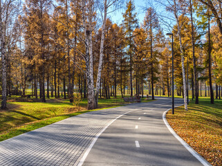 Alley of the city park in Novosibirsk near the hockey arena.