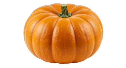 Isolated Ripe Pumpkin