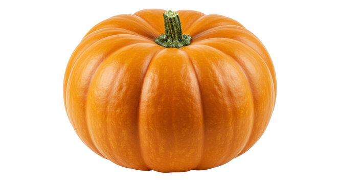 Isolated Ripe Pumpkin