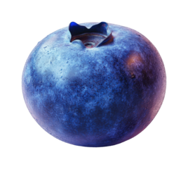 Fresh blueberry harvest farm food nature isolated on transparent background, png