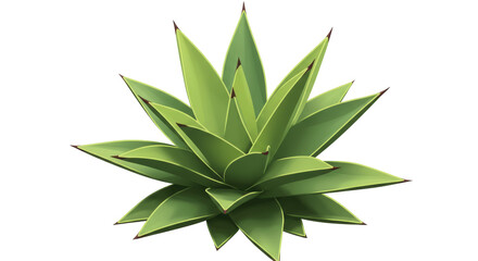 Isolated Agave Plant with Sharp Thorns