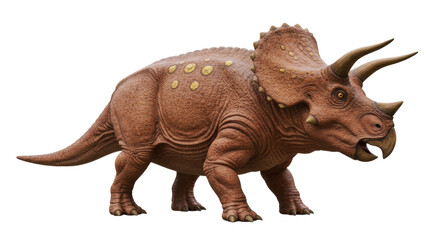 Fototapeta premium Isolated Triceratops Dinosaur