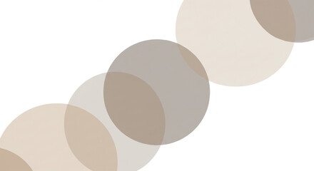 adhesive bandage on white background