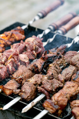 Grilled Meat Skewers on Barbecue
