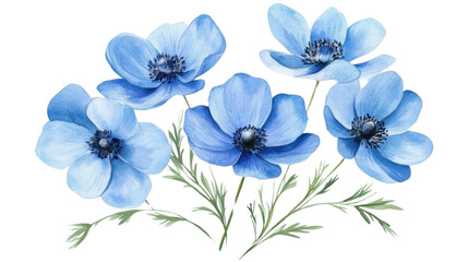 Fototapeta premium Charming Forget-Me-Not Flowers in Bloom for Romantic, Sentimental, and Nature-Inspired Designs isolated on white background