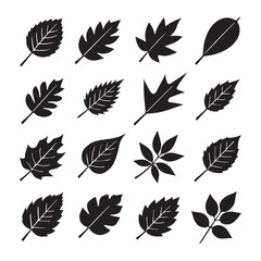 silhouette icons of leaves in assorted styles, suitable for decorative nature-based artwork, prints, and digital projects.