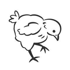 Cute Whimsical Chicken Farm Bird Hand Drawn Sketch