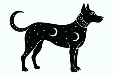 High-resolution image of a wild dog in its natural habitat, showcasing the raw energy, pack behavior, and survival instincts of this unique predator. Ideal for wildlife documentaries, educational cont