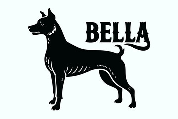 High-resolution image of a wild dog in its natural habitat, showcasing the raw energy, pack behavior, and survival instincts of this unique predator. Ideal for wildlife documentaries, educational cont