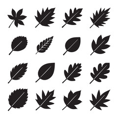 Fototapeta premium silhouette icons of leaves in assorted styles, suitable for decorative nature-based artwork, prints, and digital projects.