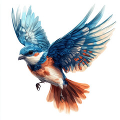 Obraz premium blue bird isolated on white background
