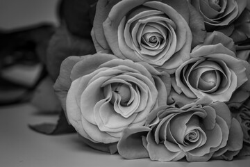 Black and white photo of a bouquet of roses on a light background