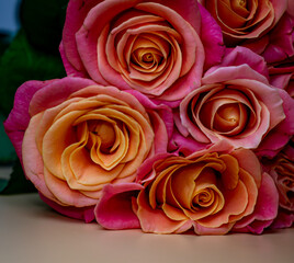 Bouquet of pink roses on a peach-colored background, in pastel colors