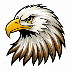 bald eagle vector illustration