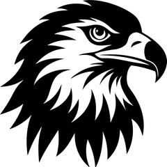 eagle head vector illustration
