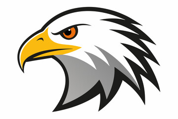 bald eagle vector illustration