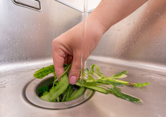 Food waste management: cucumber peels being processed in a garbage disposal