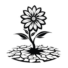 Isolated Daisy Flower Growing on Cracked Ground Black and White Design