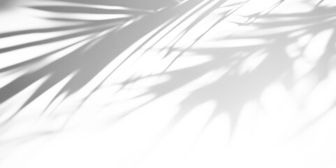 Overlay effects of realistic palm leaf shadows shadows isolated on transparent background,tropical...