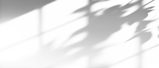 shadow overlay effects of realistic window and tree branch shadow with light blur on transparent...