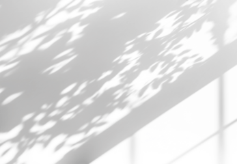 shadow overlay effects of realistic window and tree branch shadow with light blur on transparent background,Summer sunlight and shadow overlay effect