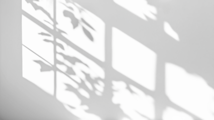 shadow overlay effects of realistic window and tree branch shadow with light blur on transparent background,Summer sunlight and shadow overlay effect