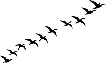 Fototapeta premium Flying Birds Silhouette, Avian Migration Flock on White Background, Symbol
