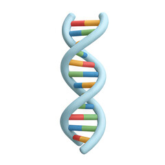 3D Model of DNA Structure with Colorful Components for Education