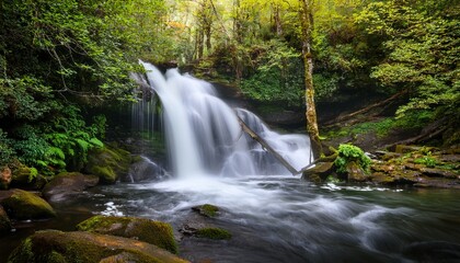 Obraz premium Smoky Mountain Waterfall