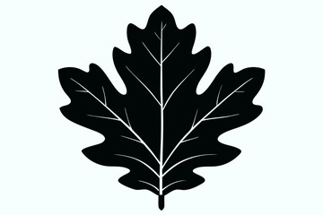 Elegant and scalable leaf vector illustration, ideal for eco-friendly designs, botanical projects, nature-themed artwork, packaging, logos, and seasonal decorations. Perfect for use in both digital an