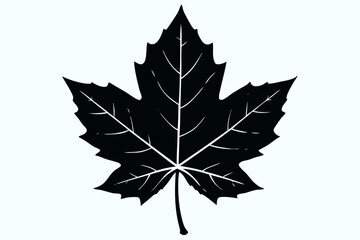 Naklejka premium Elegant and scalable leaf vector illustration, ideal for eco-friendly designs, botanical projects, nature-themed artwork, packaging, logos, and seasonal decorations. Perfect for use in both digital an