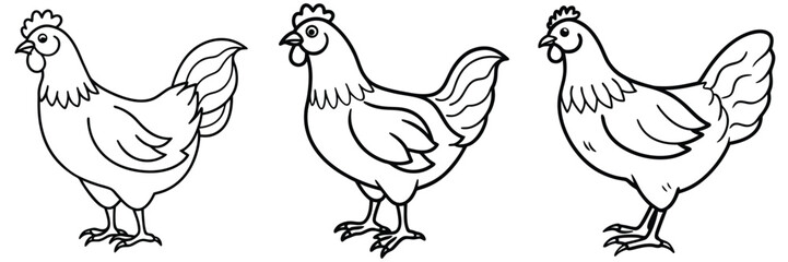 bundle of chicken, chicken png