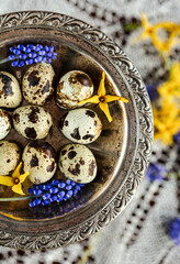 Jajka przepiórki. Wielkanoc © mycatherina