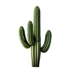 Naklejka premium a tall saguaro cactus with multiple arms stands prominently against a plain white background.