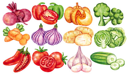 Watercolor Vegetable Clip Art Set Hand Painted Tomato Onion Garlic Carrot Broccoli Cucumber Pepper Cabbage Pumpkin Illustration