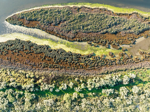 Aerial view of lush marshland and serene river with vibrant vegetation, Isla Canela, Huelva, Spain.