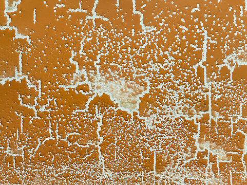 Aerial view of Bonanza salt works with intricate patterns and textures, Sanlucar de Barrameda, Cadiz, Spain.