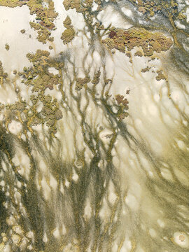 Aerial view of beautiful barbate marshland with intricate patterns and textures, Barbate, Cadiz, Spain.