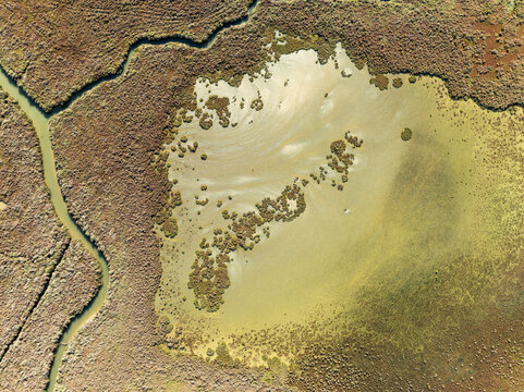 Aerial view of barbate marshland with serpentine streams and vibrant green wetlands, Barbate, Cadiz, Spain.