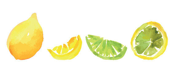 Watercolor drawings of lemon citrus fruits, slices, half, whole, vector illustration isolated on white