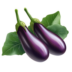 Two fresh purple eggplants with green calyx and leaves isolated on transparent background.

