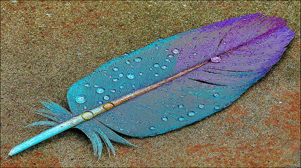 Colorful feather with droplets on textured background  