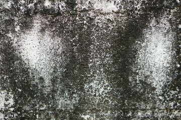 Cement wall covered in black mold spots background. Concept, Mold stains on concrete make wall dirty or damaged, need to clean or repaint for maintenance. 
