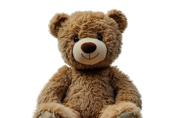 Obraz premium teddy bear isolated on white background