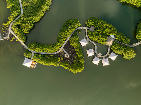 Aerial view of serene tropical island with lush mangroves, beautiful water, and exclusive tents, prince maurice, flacq, mauritius.