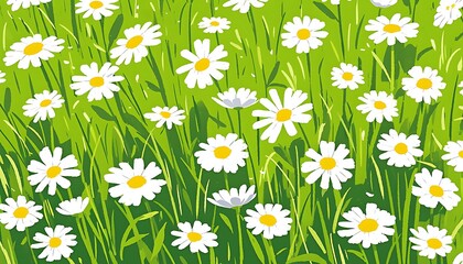 Fototapeta premium Daisies in a Green Meadow