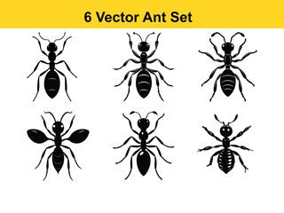 Black insect vector set silhouette pattern