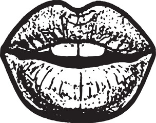 Vintage Lips Illustration with Slight Smile, artwork is perfect for fashion, pop art, editorial layouts, and alternative graphic design projects.