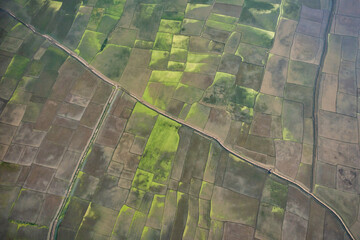 Aerial view of flooded agricultural fields with lush green patterns in the rural countryside, Itna, Dhaka, Bangladesh.